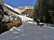 15 Il Piero ed io saliamo in direttissima tagliando i tornanti per scorciatoie sui ripidi pratoni innevati